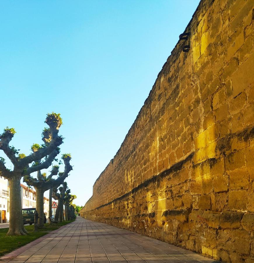 Apartmán El Rincon De Pilar Casalarreina Exteriér fotografie